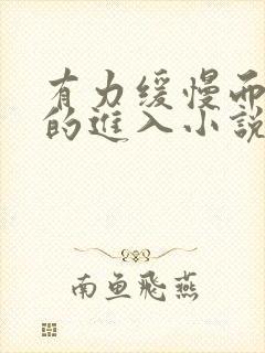 有力缓慢而坚定的进入小说