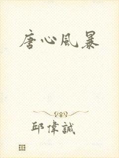 唐心风暴封面