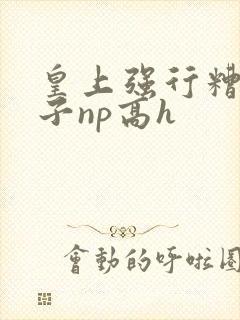 皇上强行糟蹋太子np高h