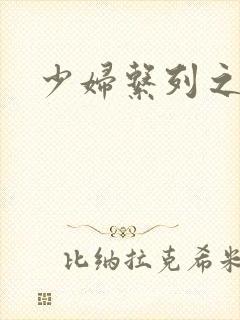 少妇系列之白洁封面