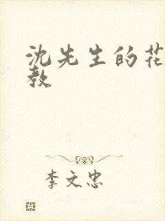 沈先生的花式管教