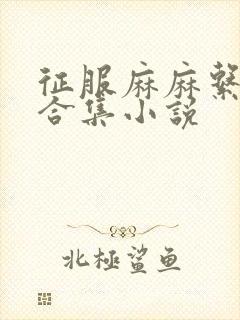 征服麻麻系列大合集小说