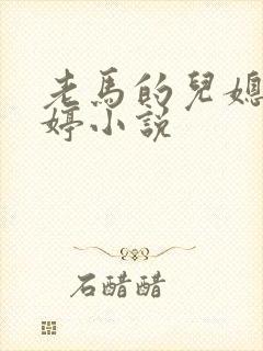 老马的儿媳顾婉婷小说