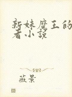 新妹魔王的契约者小说