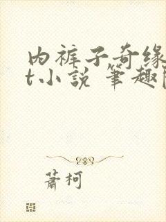 内裤子奇缘txt小说 笔趣阁