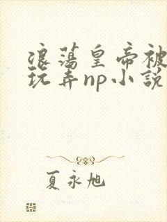 浪荡皇帝被多人玩弄np小说