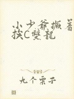 小少爷撅着屁股挨C双龙封面