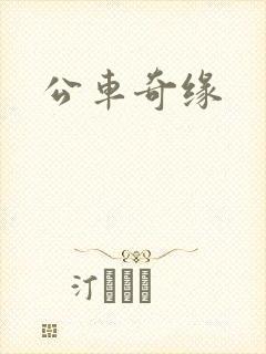 公车奇缘
