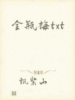金瓶梅txt