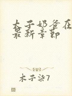 太子奶爸在花都最新章节封面