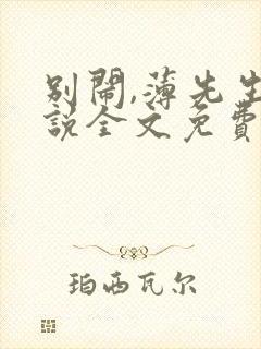 别闹,薄先生小说全文免费阅读封面