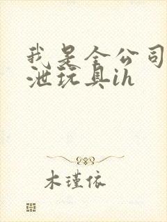 我是全公司的发泄玩具ih