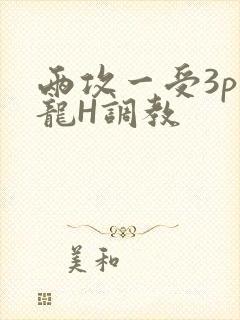 两攻一受3p双龙H调教