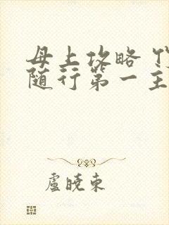 母上攻略 竹影随行第一主板