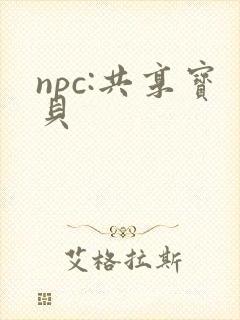 npc:共享宝贝