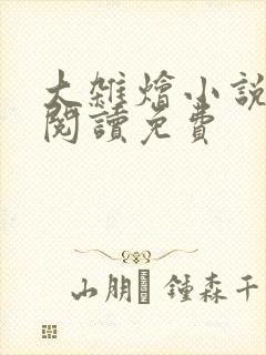 大杂烩小说全集阅读免费封面