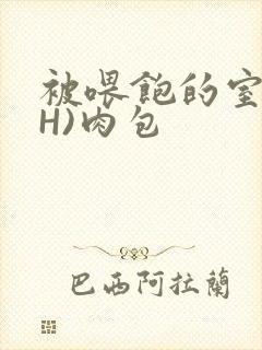 被喂饱的室友(H)肉包