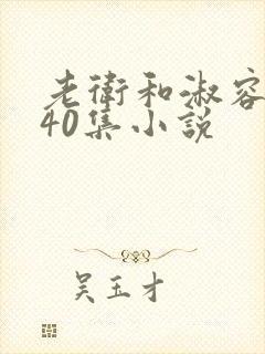 老卫和淑容1-40集小说