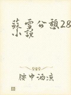 苏雪公憩28篇小说