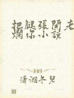 把腿张开老子臊烂你小说