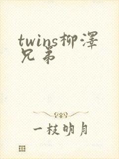 twins柳泽兄弟