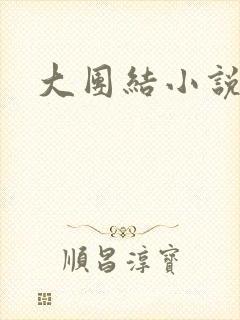 大团结小说全文