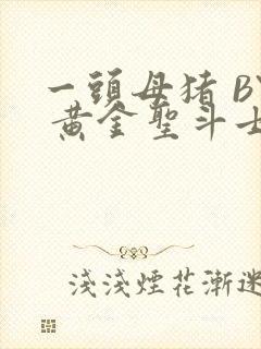 一头母猪 BY 黄金圣斗士封面