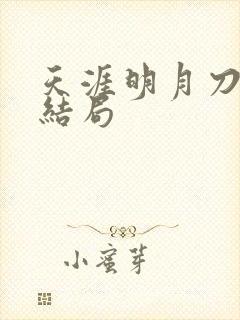 天涯明月刀小说结局封面