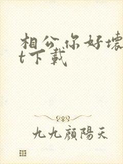 相公你好坏txt下载封面