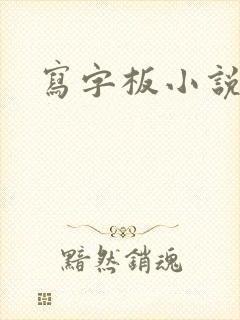 写字板小说
