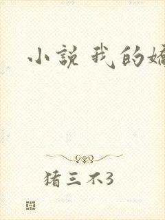 小说 我的娇妻封面