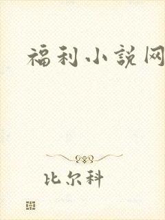 福利小说网