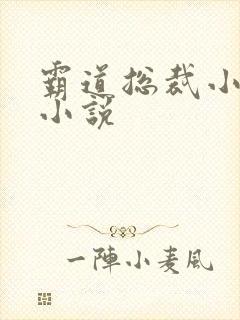 霸道总裁小娇妻小说