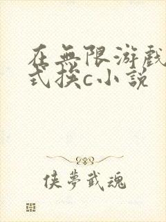 在无限游戏里花式挨c小说封面