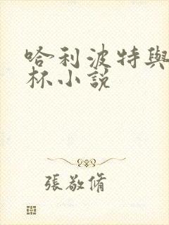 哈利波特与火焰杯小说