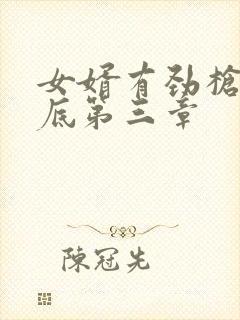 女婿有劲枪枪到底第三章封面