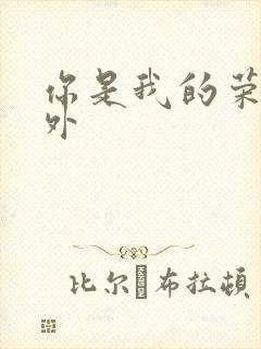 你是我的荣耀番外