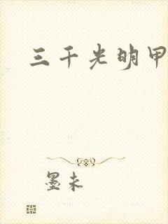 三千光明甲