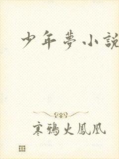 少年梦小说封面