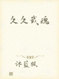久久武魂封面