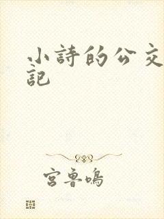 小诗的公交车日记封面