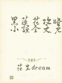 黑莲花攻略手册小说全文免费阅读笔趣阁封面