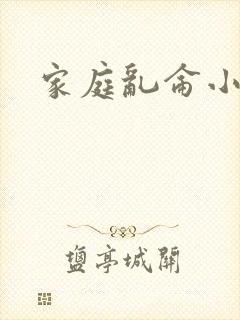 家庭乱仑小说封面