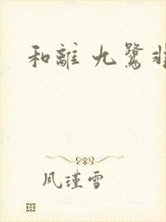 和离 九鹭非香封面