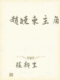 赵晓东主角小说封面