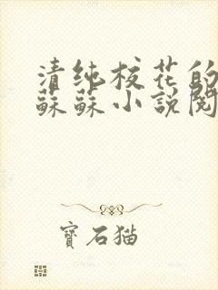 清纯校花的日常苏苏小说阅读全文封面