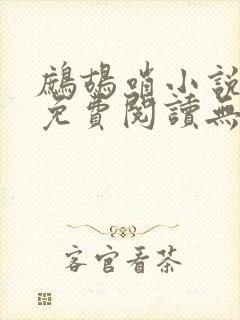 鹧鸪哨小说网站免费阅读无弹窗封面