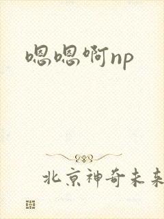 嗯嗯啊np