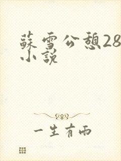 苏雪公憩28篇小说