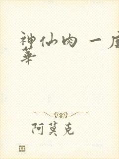 神仙肉 一度君华封面